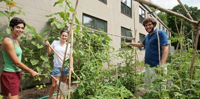 Schwab, Bonaccorsi and Elga tend the garden
