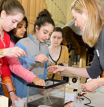 Examining pond water
