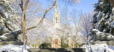 Whig and Clio tigers in snow