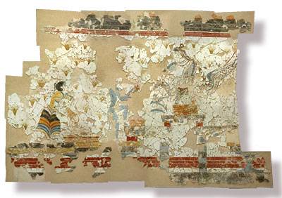 Sr Thesis Shin crocus