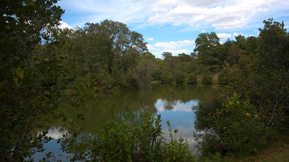 Parks Community Park North