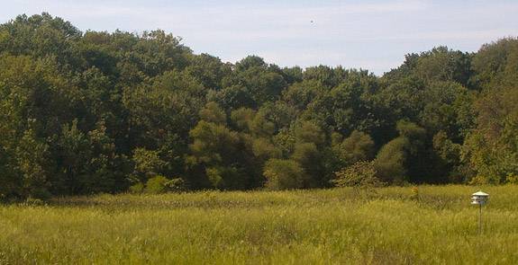 Parks Rogers Wildlife