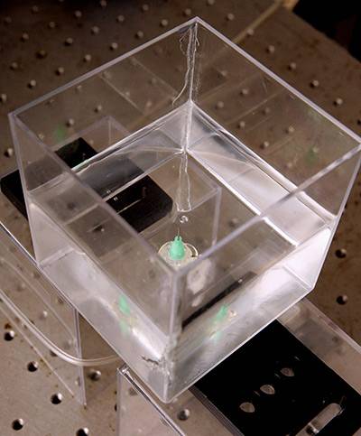 Bubbles Stone Lab device