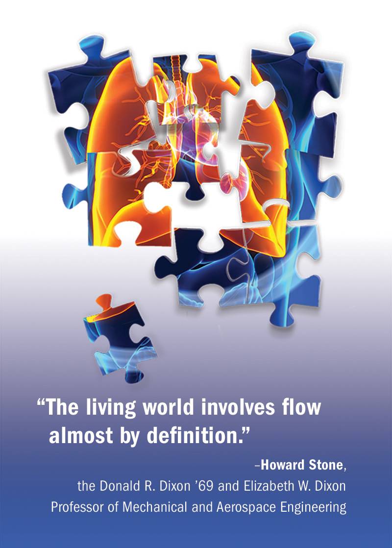 “The living world involves flow almost by definition.” –Howard Stone, the Donald R. Dixon ’69 and Elizabeth W. Dixon Professor of Mechanical and Aerospace Engineering
