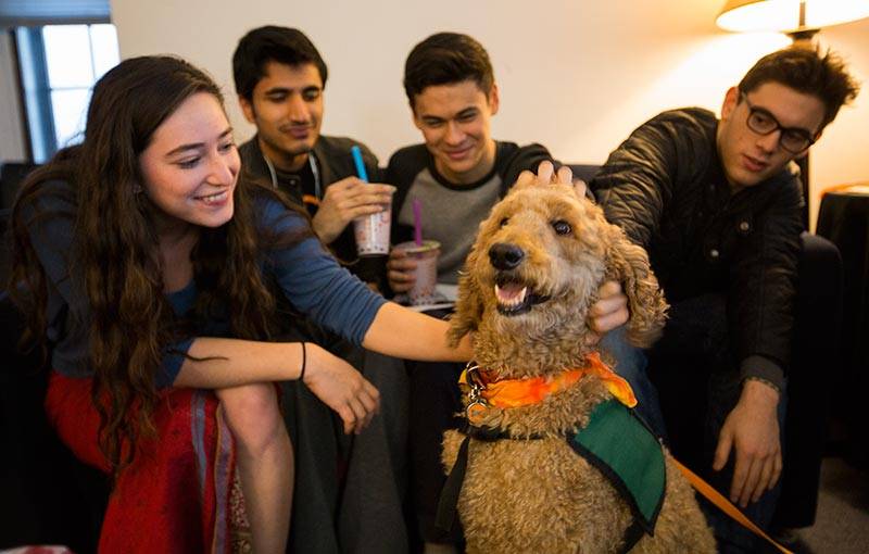 Reading Period students with therapy dog Ben E.