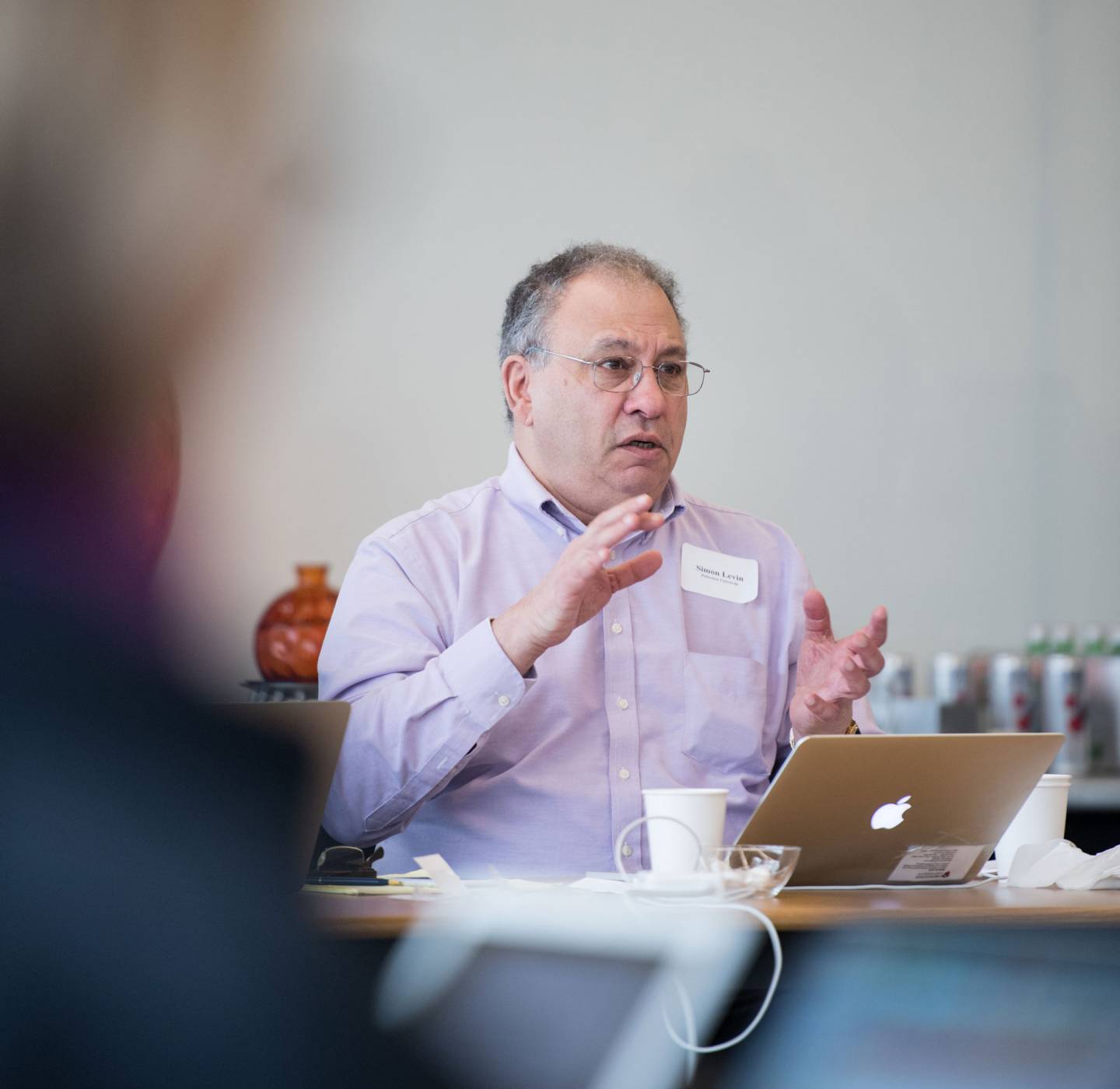Simon Levin at Earth in 2050 workshop
