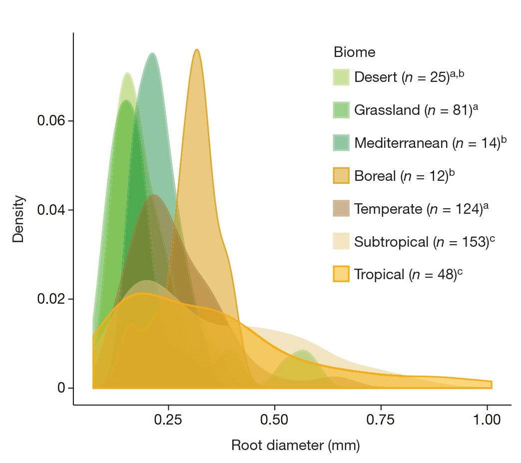 root trait graph