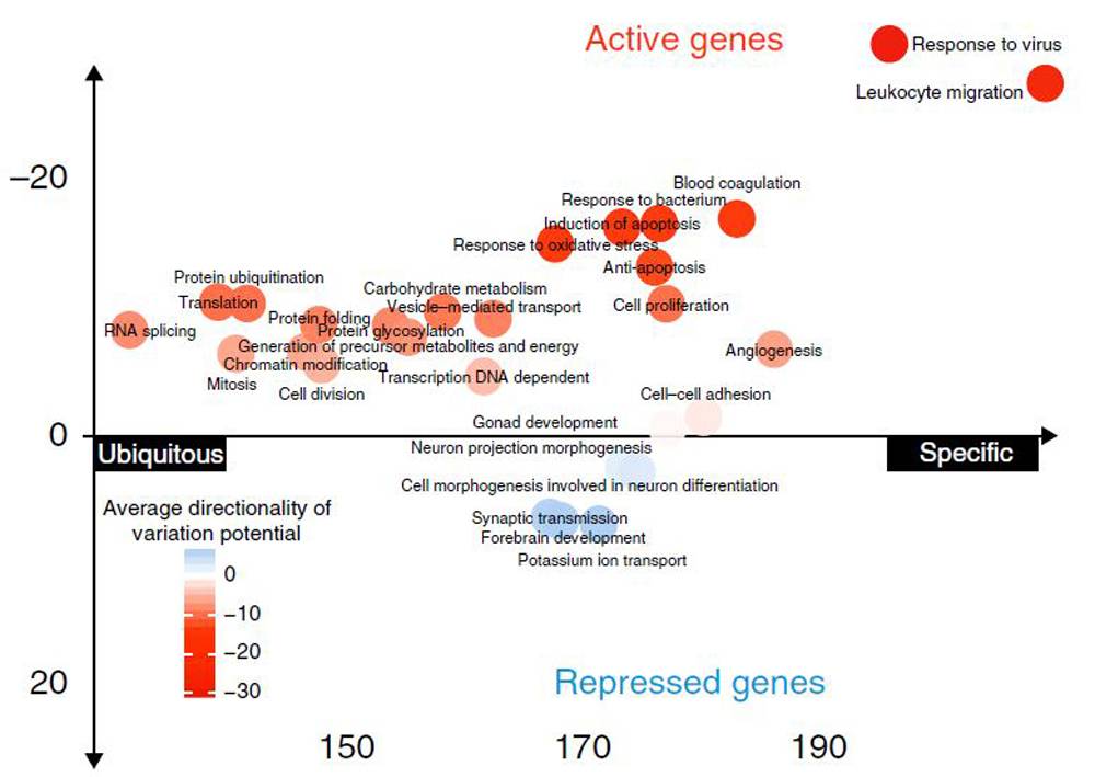 Graph of data from ExPecto