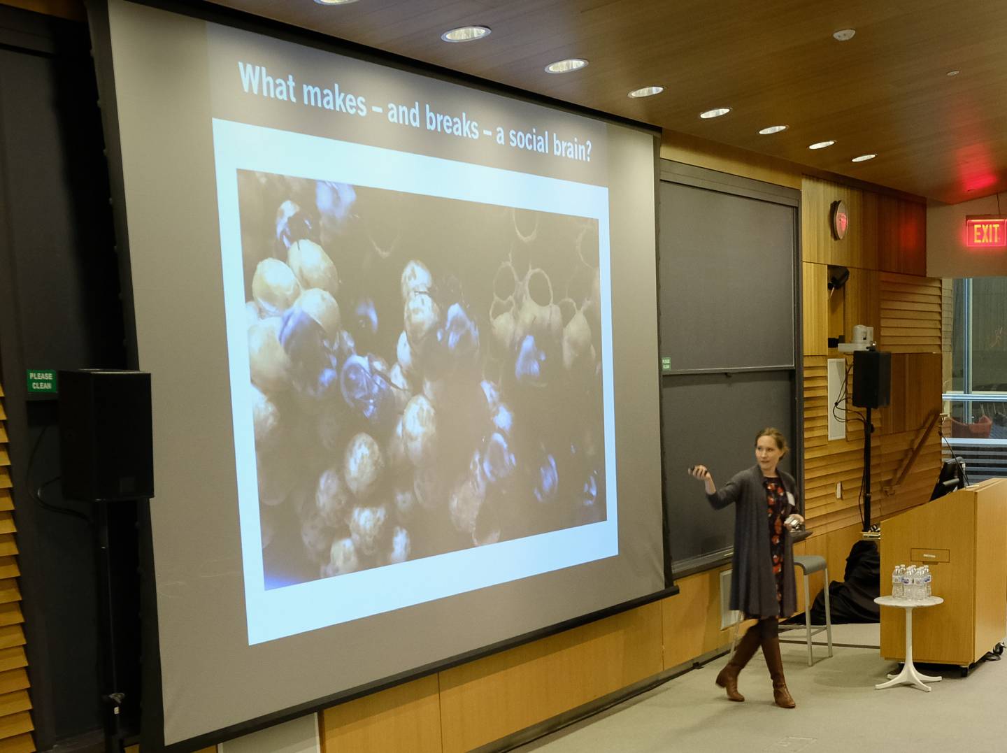 Sarah Kocher makes a presentation in front of an audience and gestures toward a projected slide