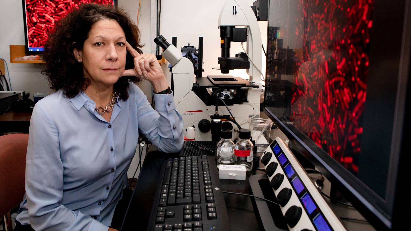 Bonnie Bassler sitting in front of computer