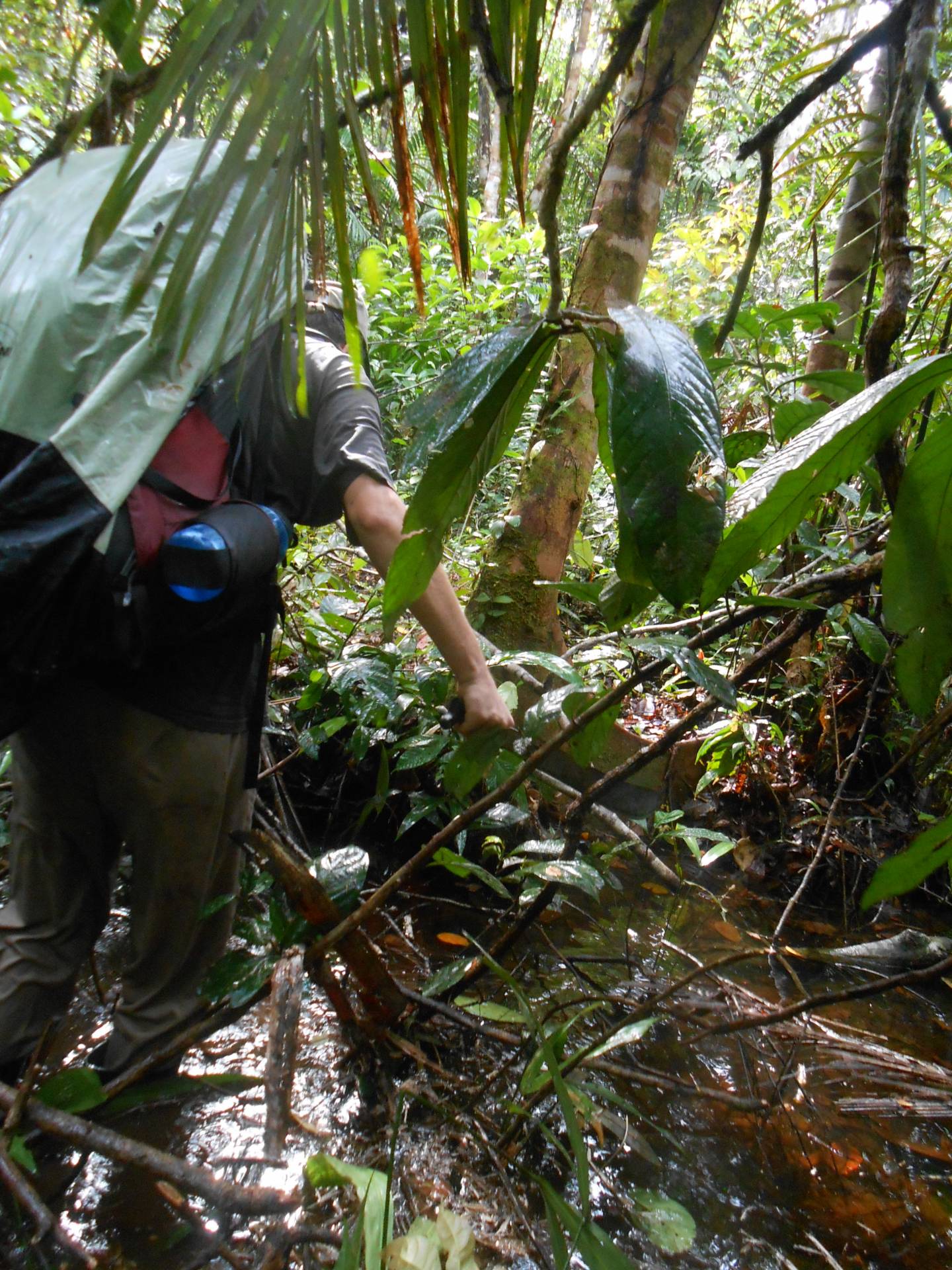 Jacob Socolar uses a machete