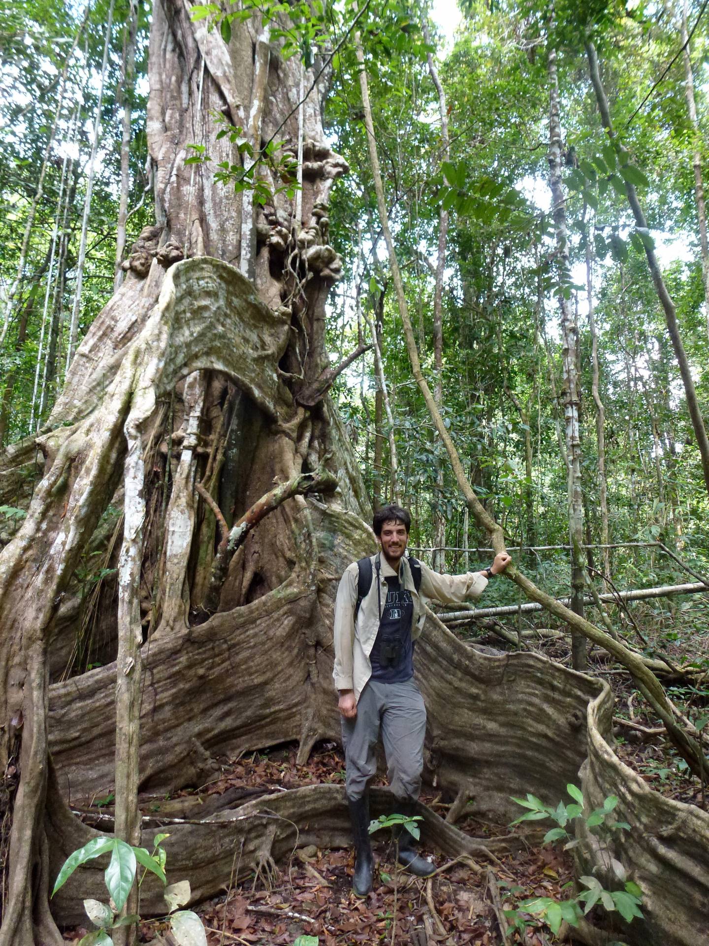 Jacob Socolar in an intact floodplain forest