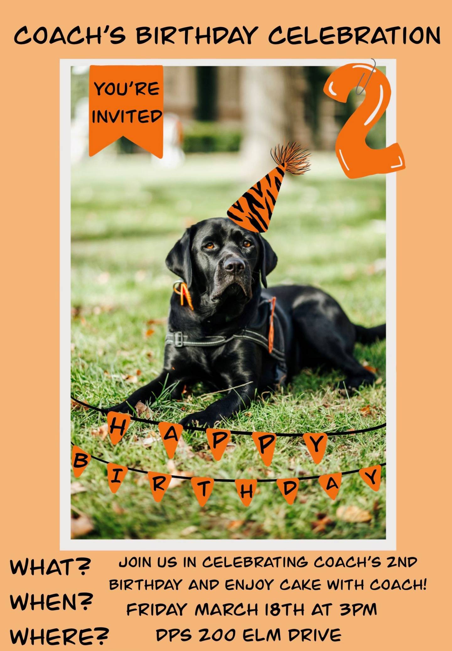 Coach's birthday celebration invitation. You're invited. Join us in celebrating coach's 2nd birthday and enjoy cake with Coach! Friday March 18 at 3pm. DPS 200 Elm Drive