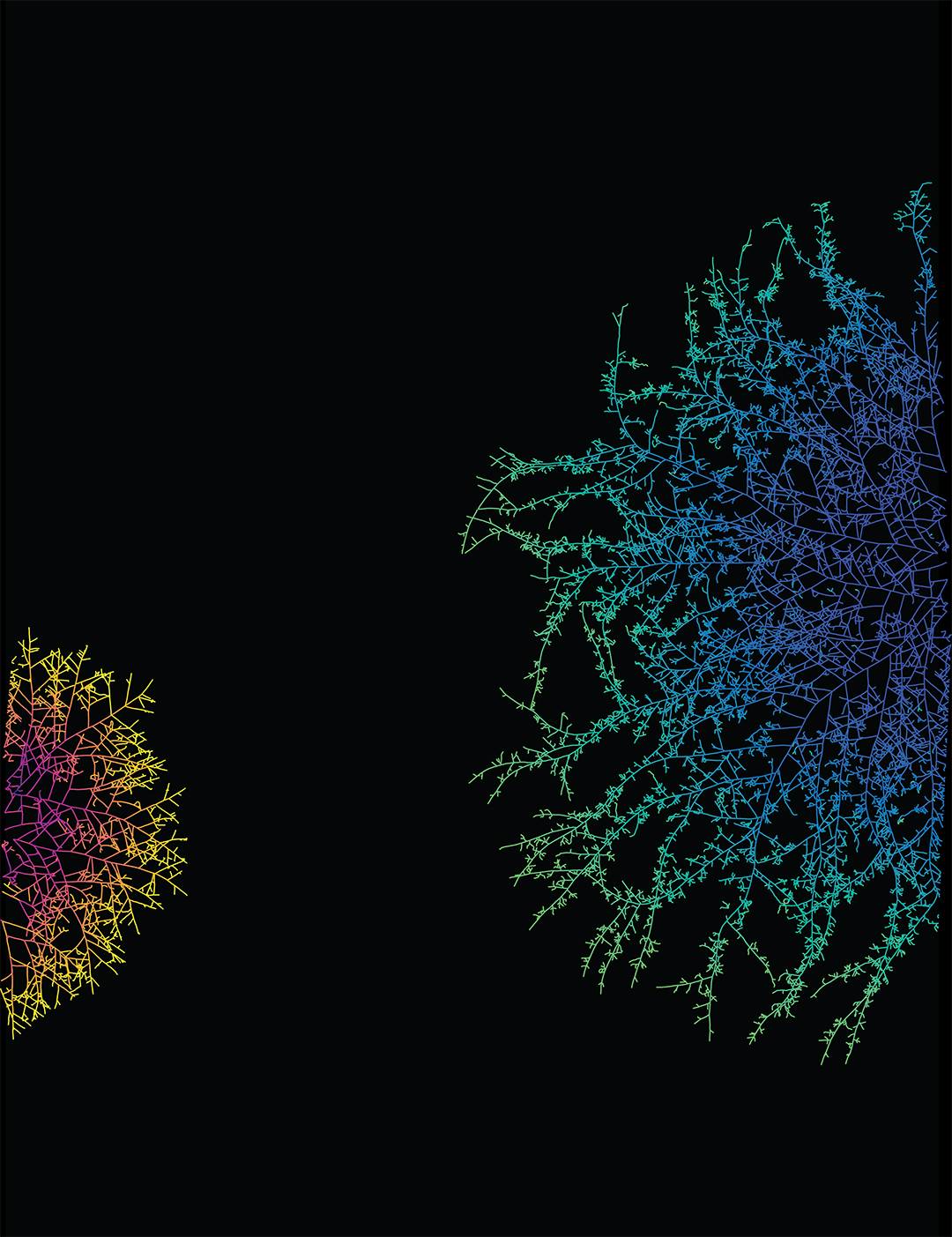 Colorful bursts of delicate structures, radiating outward from a central point like a firework explosion