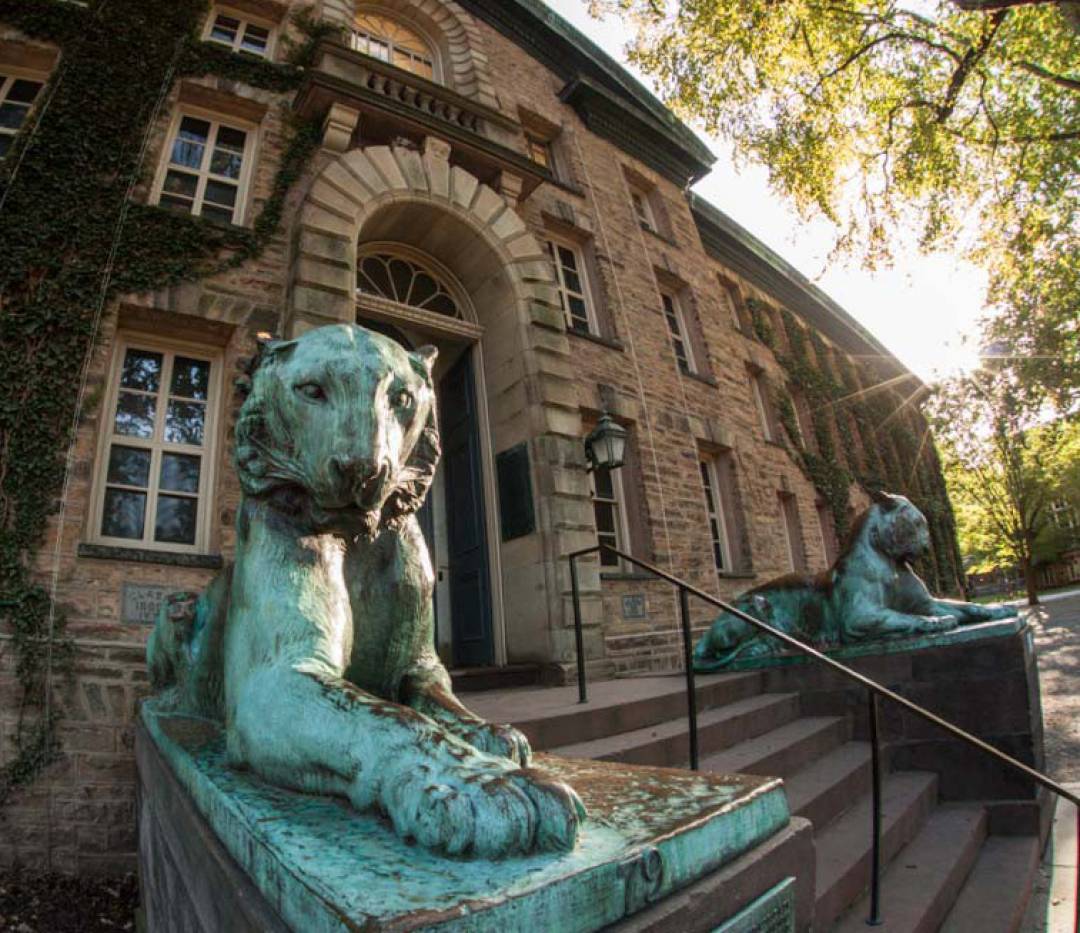 Tiger in front of Nassau Hall