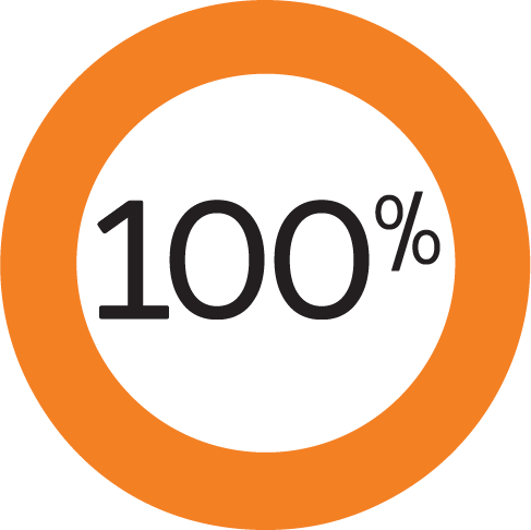 Pie chart displaying 100 percent