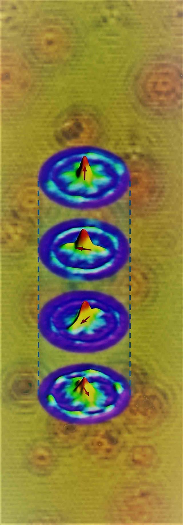electron wave interference patterns on the surface of a topological quantum kagome magnet