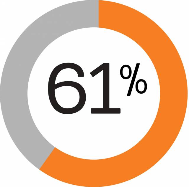 61% and a pie chart